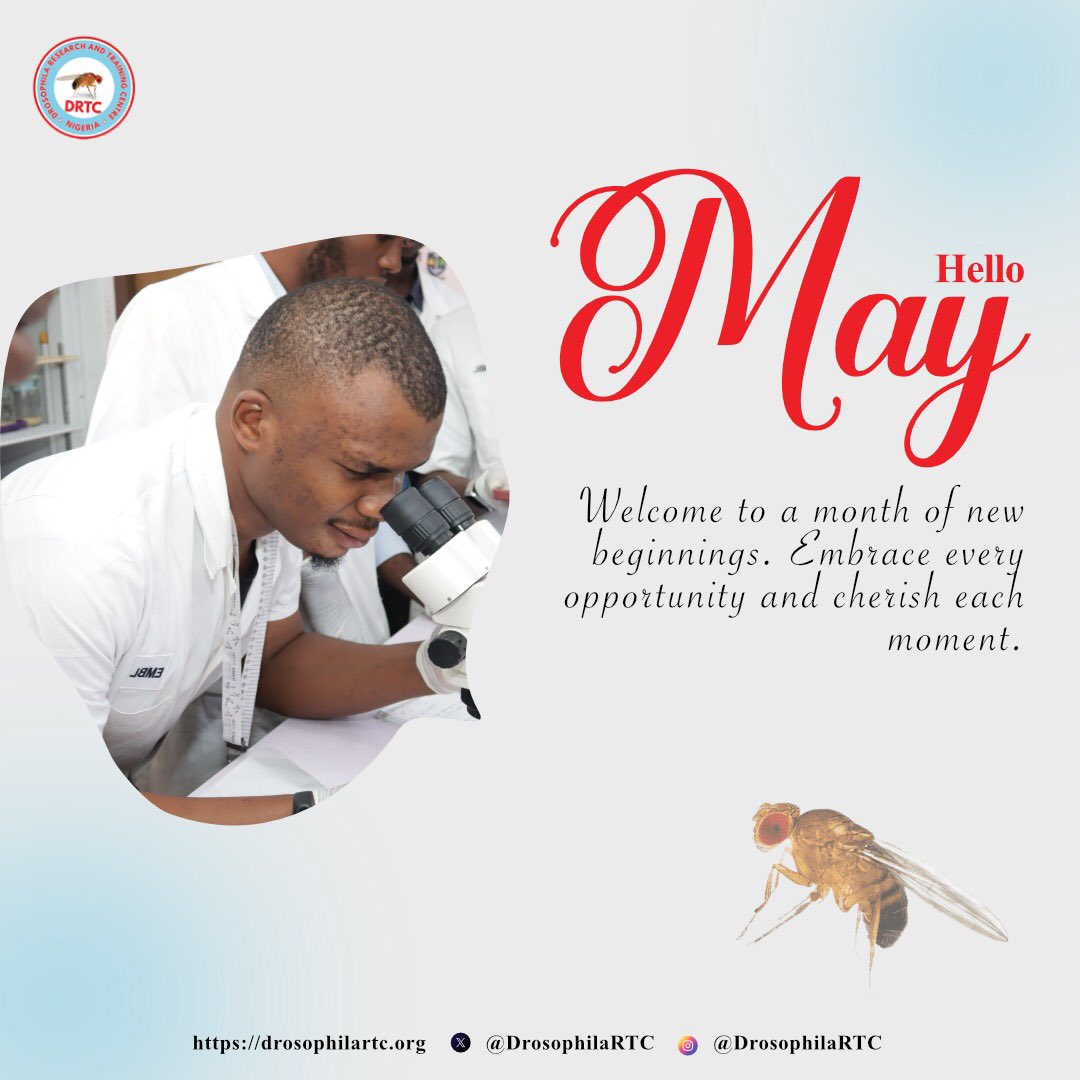Welcome to May ✨✨

#drosophilaresearch #research #laboratory #biomedicalresearch #biotechnology #drosophila #graduateschool #gradschool