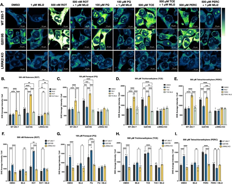 Happy to see this paper out in NBD showing that inhibition of LRRK2 protects against the toxic effects of several different environmental contaminants. Many years of hard work by @nm_ilieva and the lab! @NIEHS  @ParkinsonDotOrg 

sciencedirect.com/science/articl…