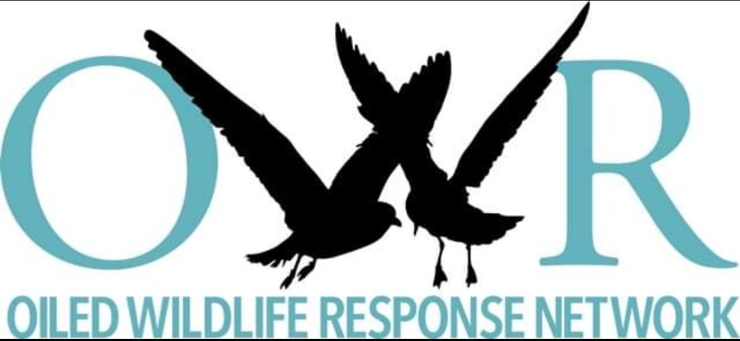 2/ Ireland is seriously negligent in not having a plan for how we'll deal with wildlife in an oil spill. A group of experts formed the Oiled Wildlife Response Network a few years ago to help draw up a plan,but received little or no support from local authorities or state agencies