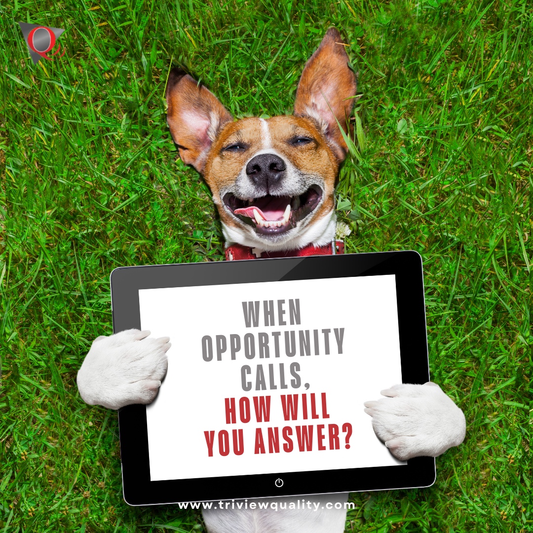 📞 When opportunity calls, Triview Quality Communications ensures you're ready to answer with confidence!

#TriviewQuality #ExpertSolutions #NeverMissACall #Telecommunications #telecom #technology #business #businesssolutions #phone #qualityservice
