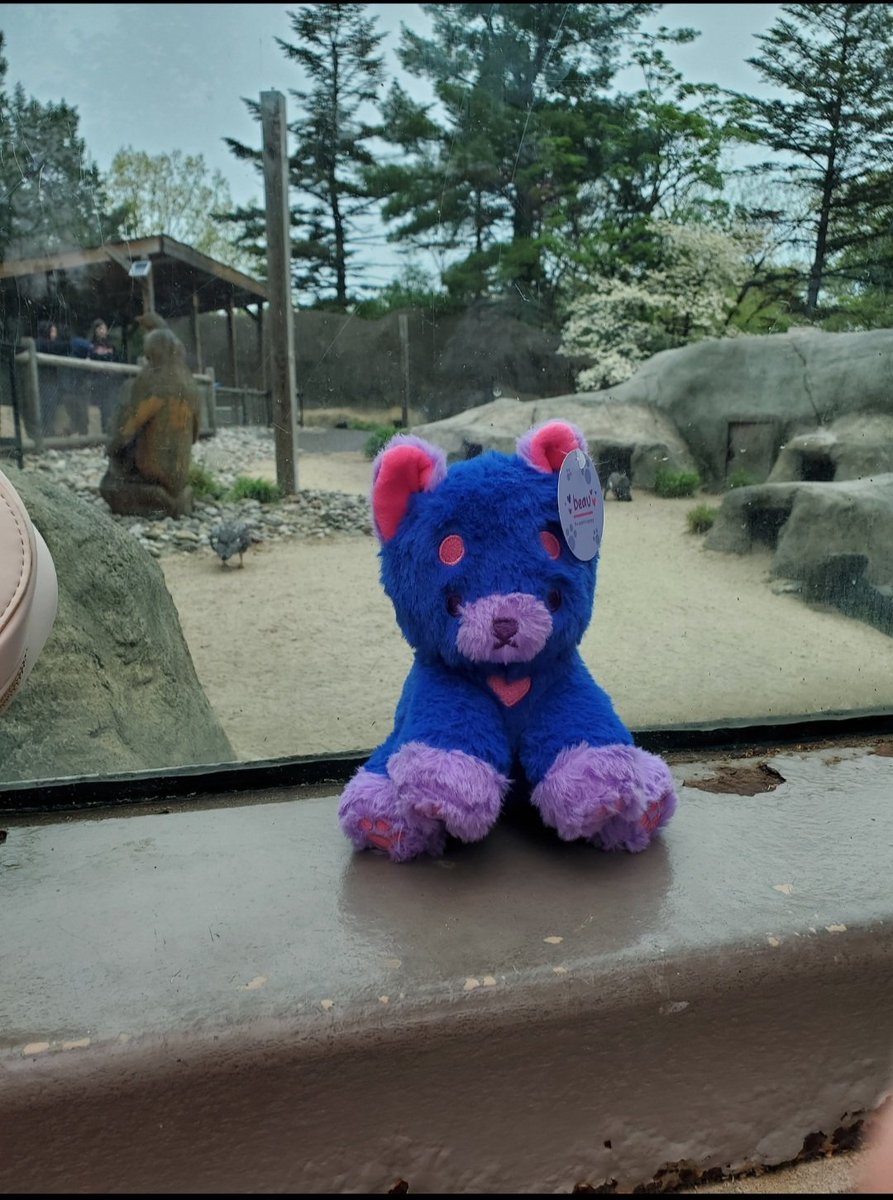 @hannimatior took beu to the zoo and got so many compliments. He enjoyed the trip as well.