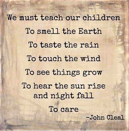 Night thoughts

I can't say it any better. Children and the feeling for nature is a milestone for a better future.💚🌲☘️🌿🌱🌳🍀💚