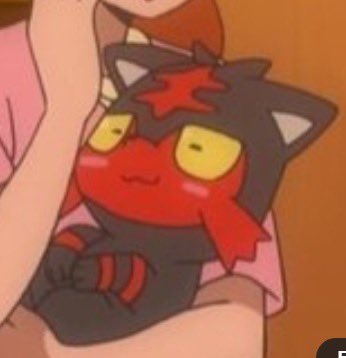 PokemonGems's tweet photo. comfy kitty https://t.co/pUqUpiDsqY