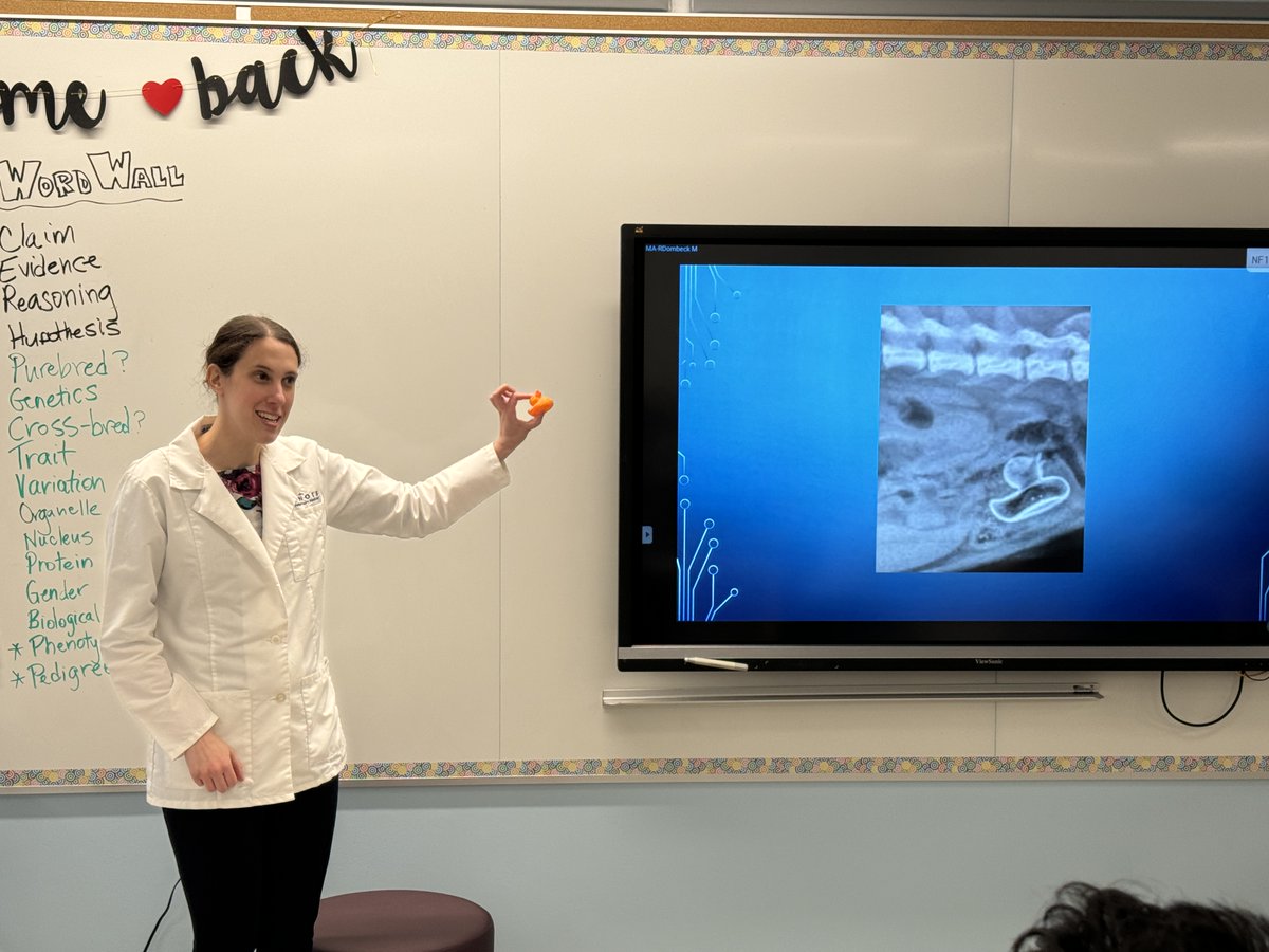 Maple School LMC tweet media