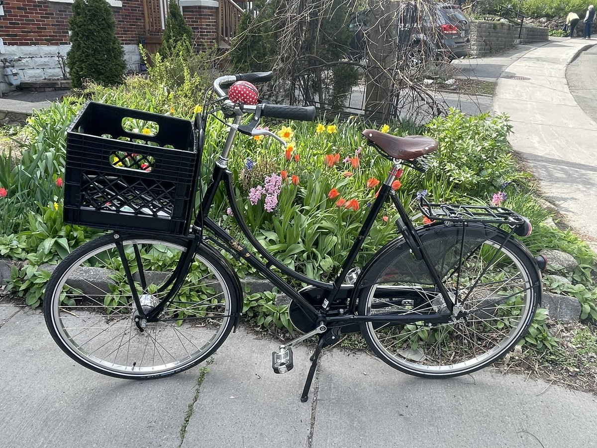 What goes better with Ottawa tulips than a Dutch bike? Riding in solidarity with @bikebikeyyc and everyone else celebrating Bike to Work Day today.