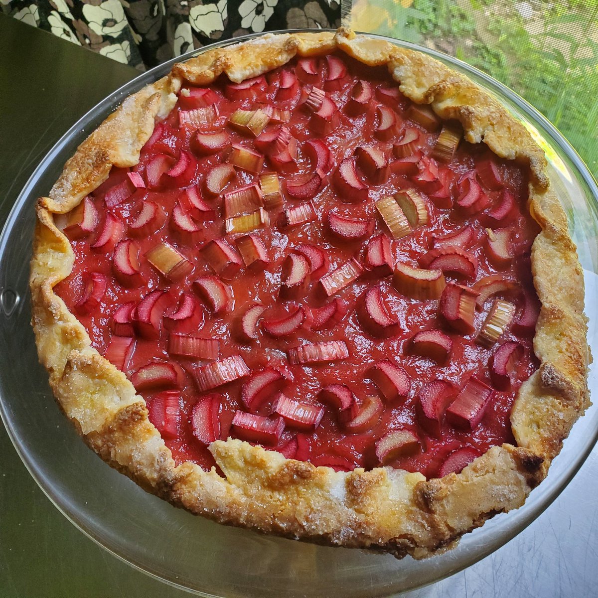 Who wants a slice of rhubarb tart? #food #cooking #baking #foodpoll