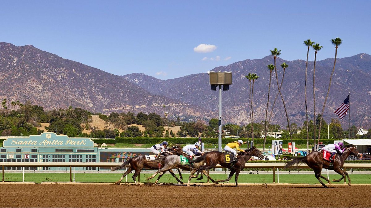 The horses are warming up for the opener @SantaAnitaPark, play your picks with AmWager.com today! #santanita #horseracing #horsebetting #winmoney #thoroughbreds 🌴💥💵🏇🏆