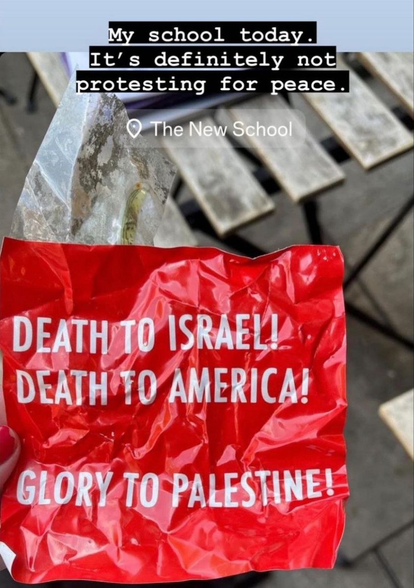 These stickers which say 'Death to America' were being passed around at a pro-t*rror*st protest at @TheNewSchool. They aren't even trying to hide their agenda. Total destruction of the United States and the West. Wake up!