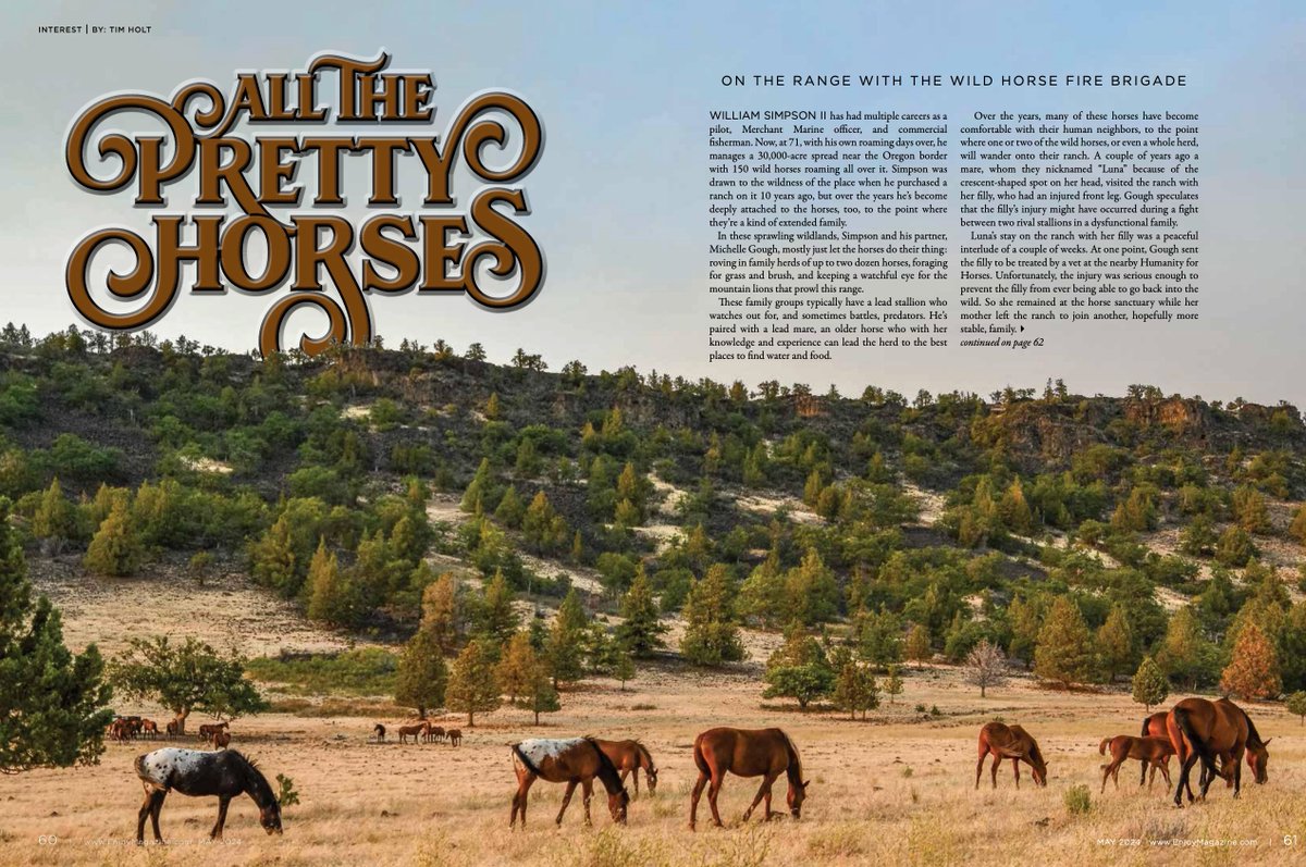 ENJOY MAGAZINE - 'All The Pretty Horses'

You can read the full article free online at:
enjoymagazine.com/read-online/  SEE PAGE 61

#WildHorses #WHFB #SaveOurWildHorses #SaveWildHorses #WildHorse #Horse #ReWilding #ReWild #Wildfires #Wildfire #Wildlife