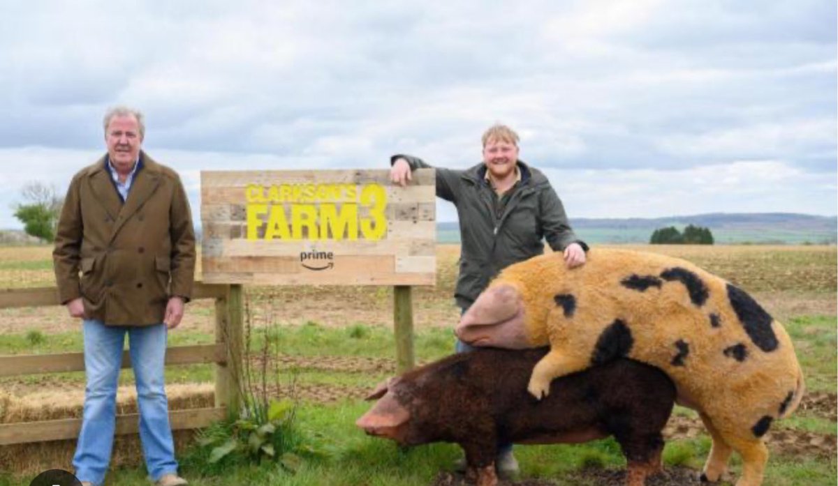 Andy Collins tweet media