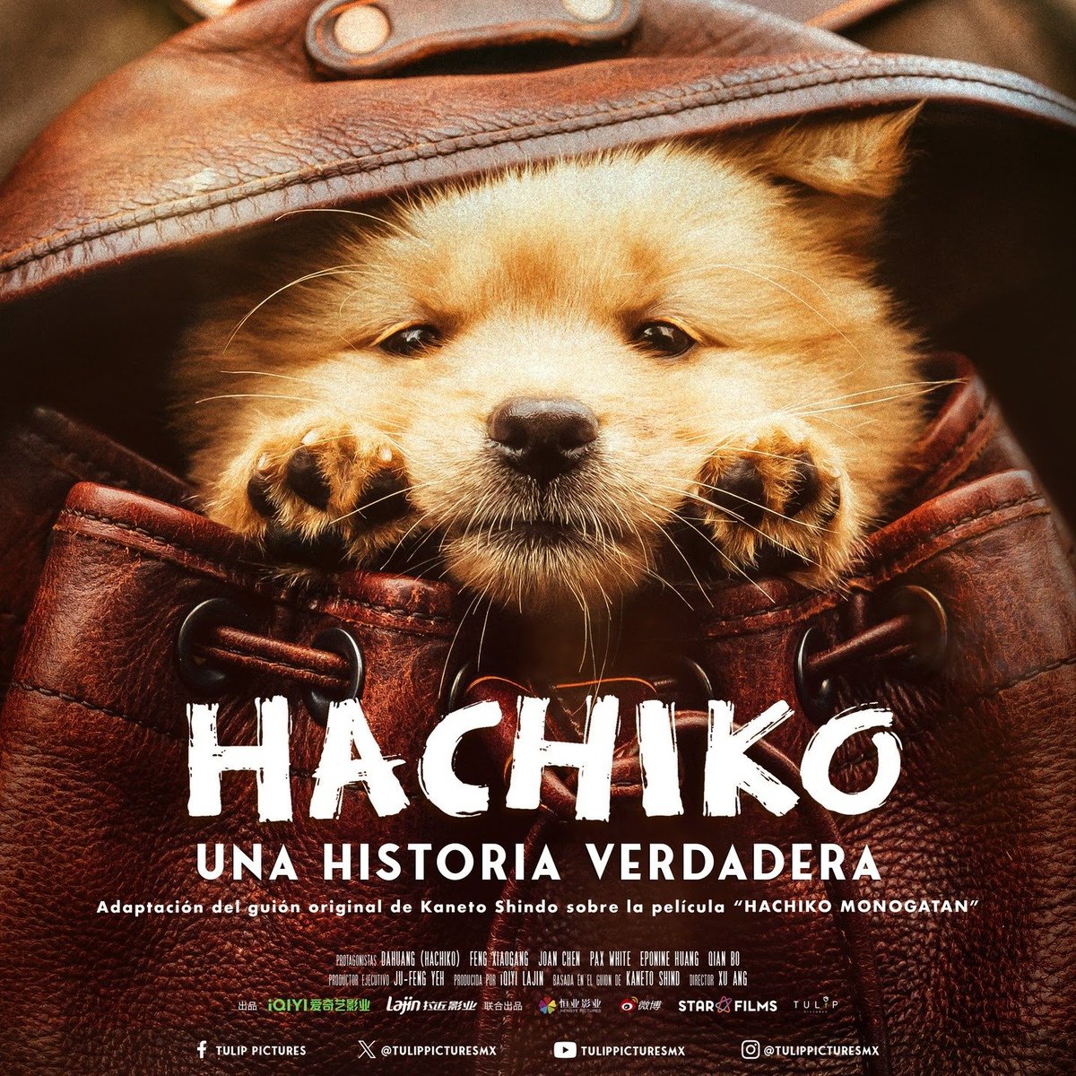 Póster oficial de #Hachiko #UnaHistoriaVerdadera. 
En cines el 23 de mayo en México
#XarliClub