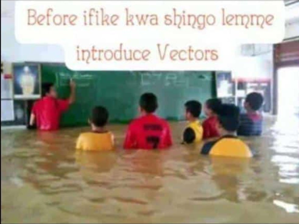 Mwalimu wa maths: 
Before we die let me introduce Vectors.

Cyclone Hidaya 🤣🤣🤣🤣🤣