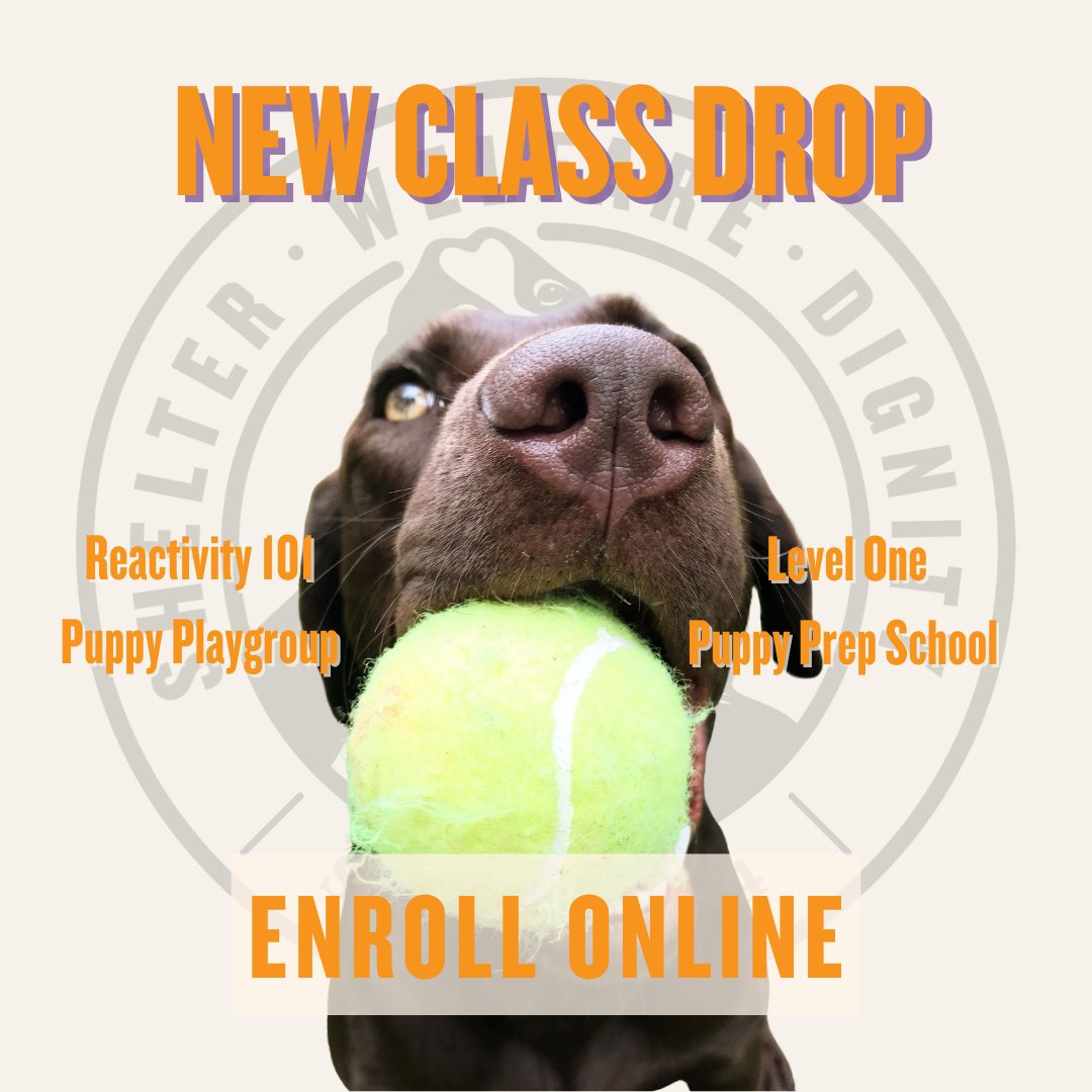 New classes! Check out winnipeghumanesociety.ca/your-family-pe… to enroll - they fill up fast so don't wait!