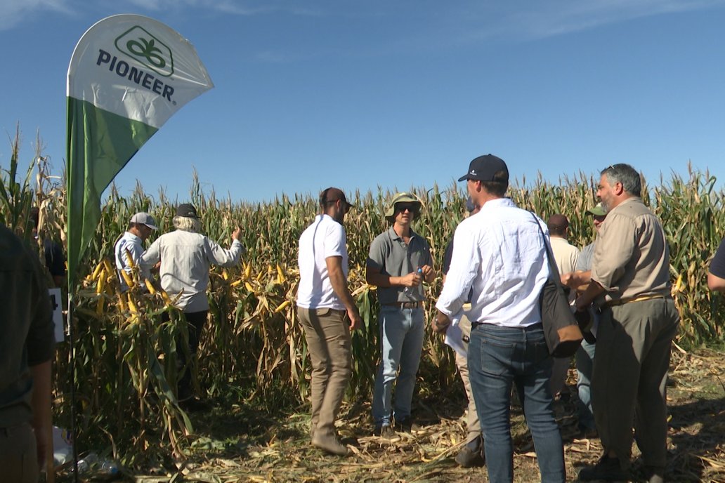 Les compartimos algunas imágenes de nuestra participación en la #JornadaTécnica a Campo - Ensayo Comparativo de Rendimiento en Maiz Tardio del CIAV - en Victoria, Entre Ríos 🙌