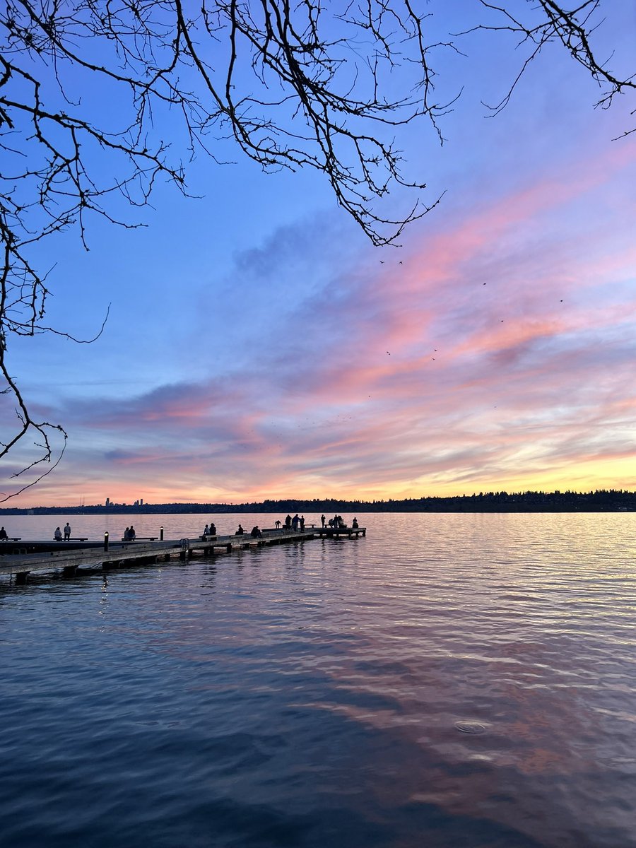 Hope this pic brings you some joy 💕

In times of stress, nature is truly my favorite remedy.