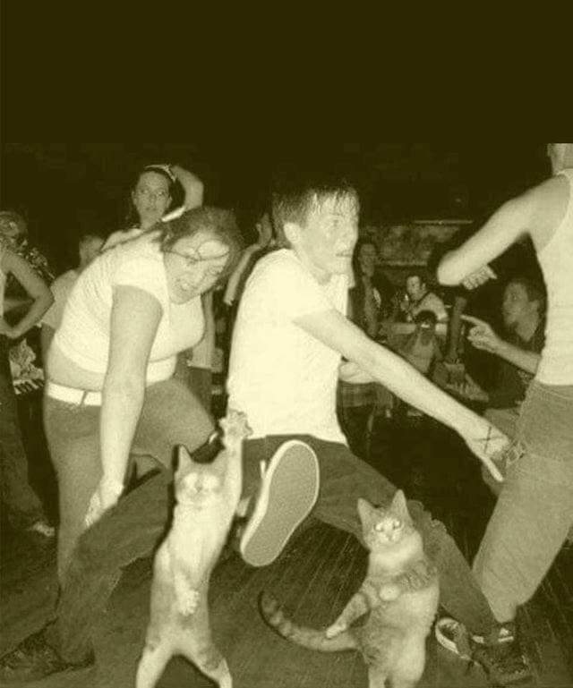 I don't know what's happening there, but the party seems cool 😈 Find it @unsolvedpage #ghoster #paranormal #demon #ghost #3am #poltergeist #devil #evil #hauntings #haunt #disturbing #caught #caughtoncamera #scary #doyoubelieve #areyoualone #horror #3amthoughts #UNSOLVED
