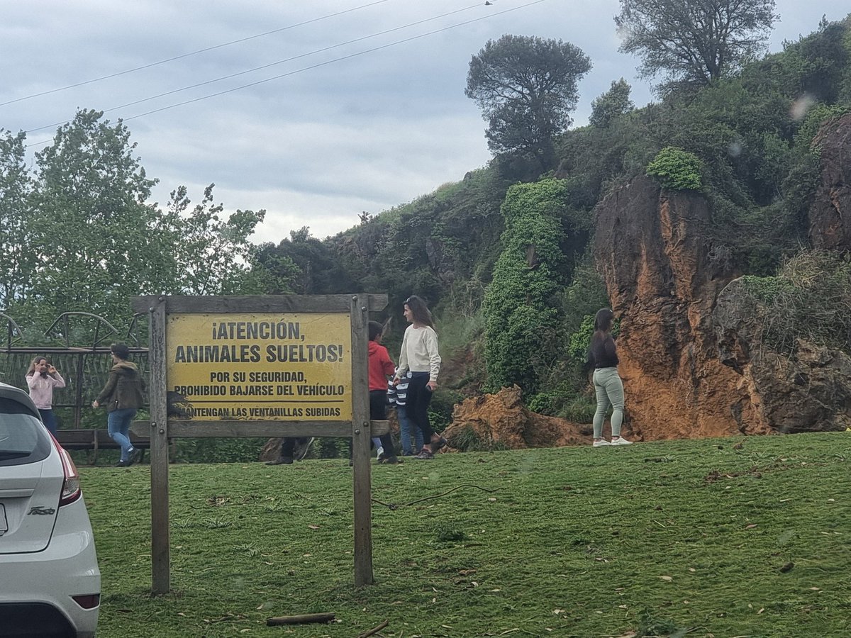 @cantabriaes @cant_infinita alguien en cabárceno vigila estas cosas? niños dándole a un mono gusanitos y por si fuera poco le tiran la bolsa de plástico vacía mientras los papis miran, se ríen y hacen fotos, uno de los mayores cánceres de Cantabria son los papardos.