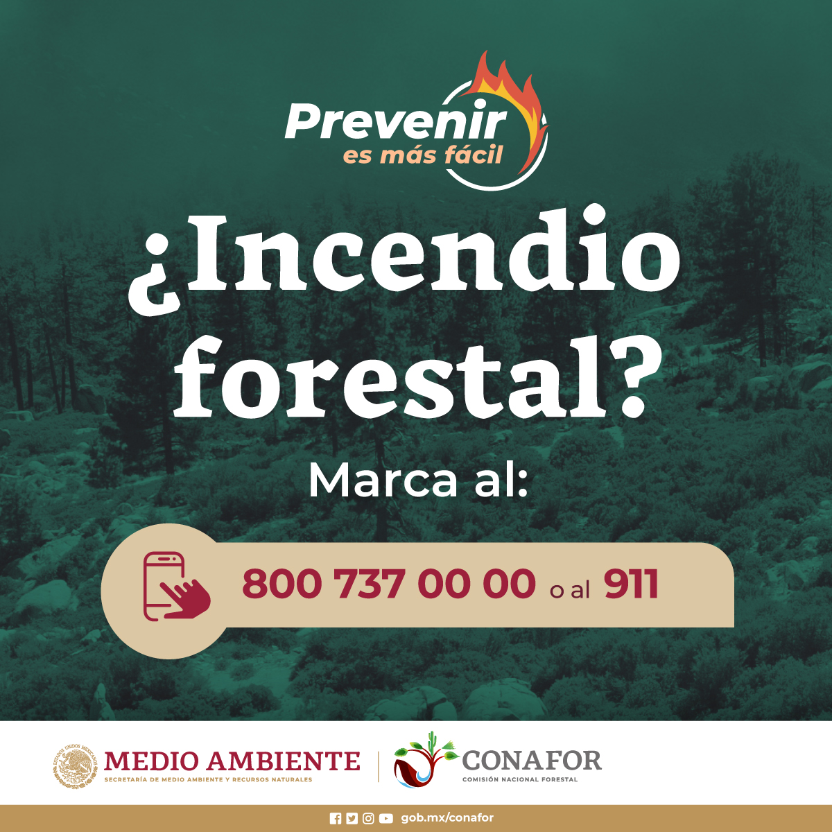 Si vas a reportar un #IncendioForestal procura brindar informar lo más precisa posible 👇 🌄Predio, 🛣️km, 🏘️lugar cercano o ⛽️cualquier referencia. 📍Municipio 🇲🇽Estado Estos datos ayudan a que las brigadas lleguen más rápido ✅