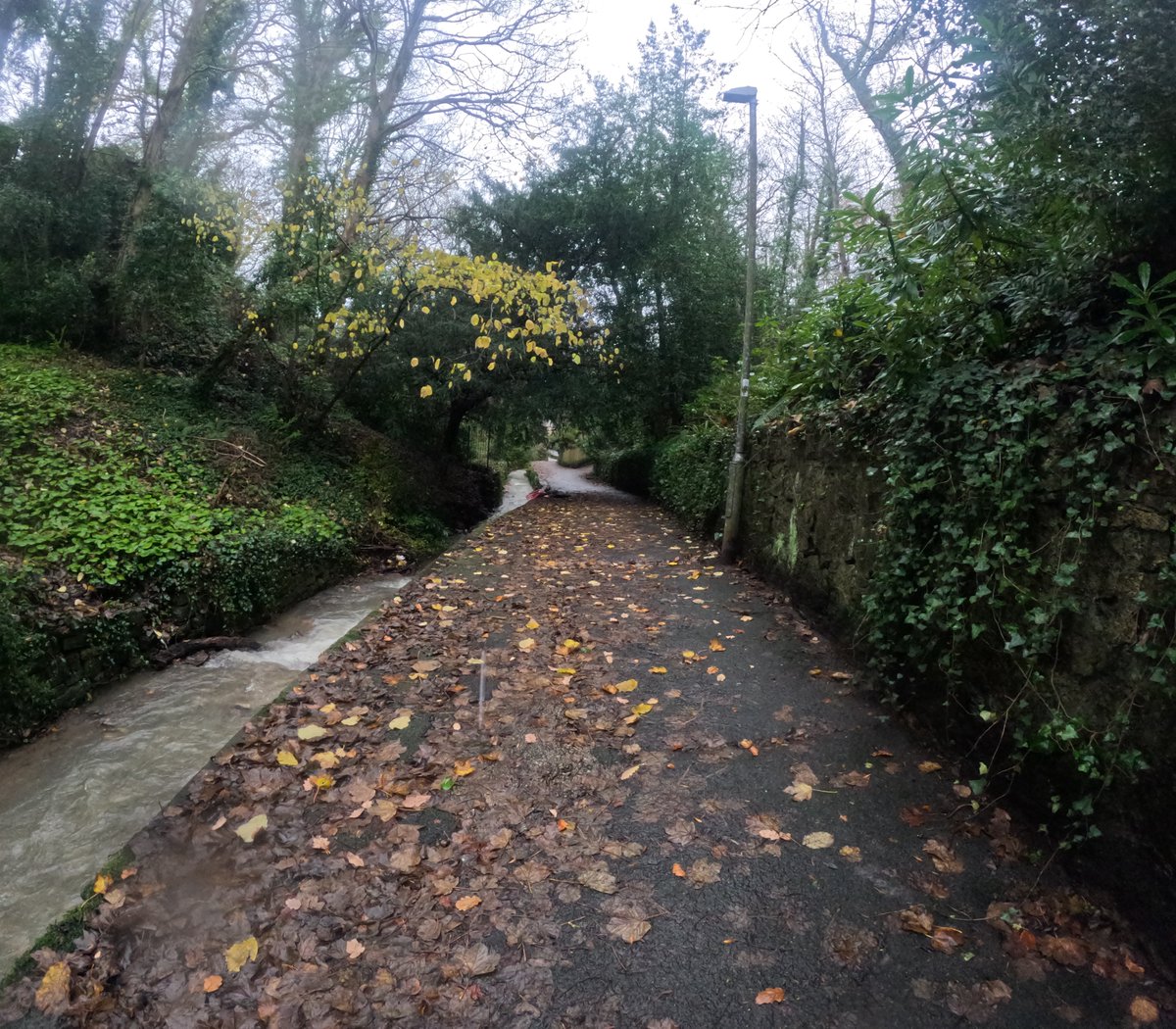 #colwynbay #northwales 

This is a nice footpath going down to the Seafront or up to the Car Park to Eirias Park!