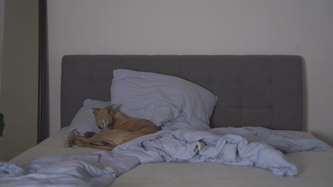 Avva Ballerina is live now! https://t.co/9PtngD2rzu https://t.co/iFXhexQdeX<a href="/tag/youtube"class="tags"><span>#youtube</span></a>