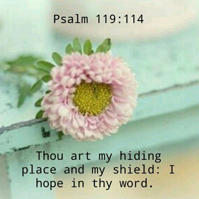@ledrew @Baptized_1979 @ChronicPainDad @GraceGabba @nancy757366841 @Breyn2000 @Jeanpierremulu3 @peterolsenart @50yjack @Prodigass @colleenitwas @fogocinti @WorldPrayr @MikeEld33344884 @MollyRhodes15 @LLMiller9 @darhar981 ”Thou art my hiding place and my shield: I hope in thy word.“
Psalm 119:114 KJV