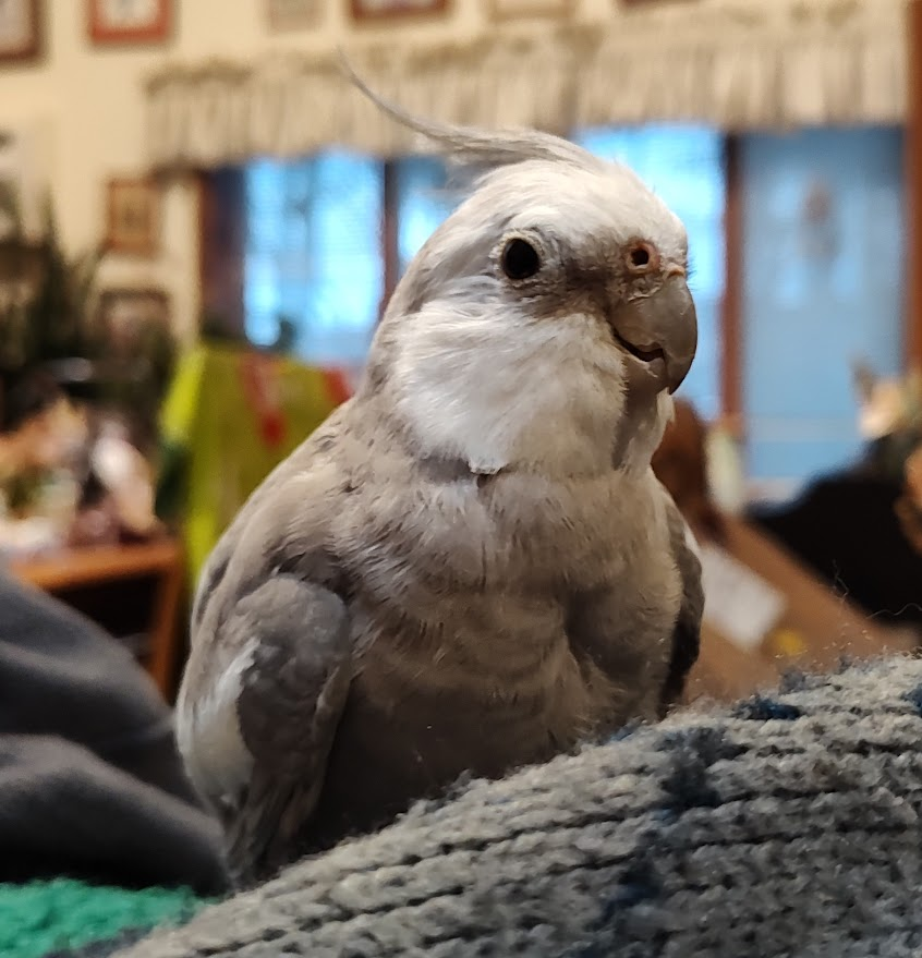 Tiel Lover 🌻🇺🇦 tweet media