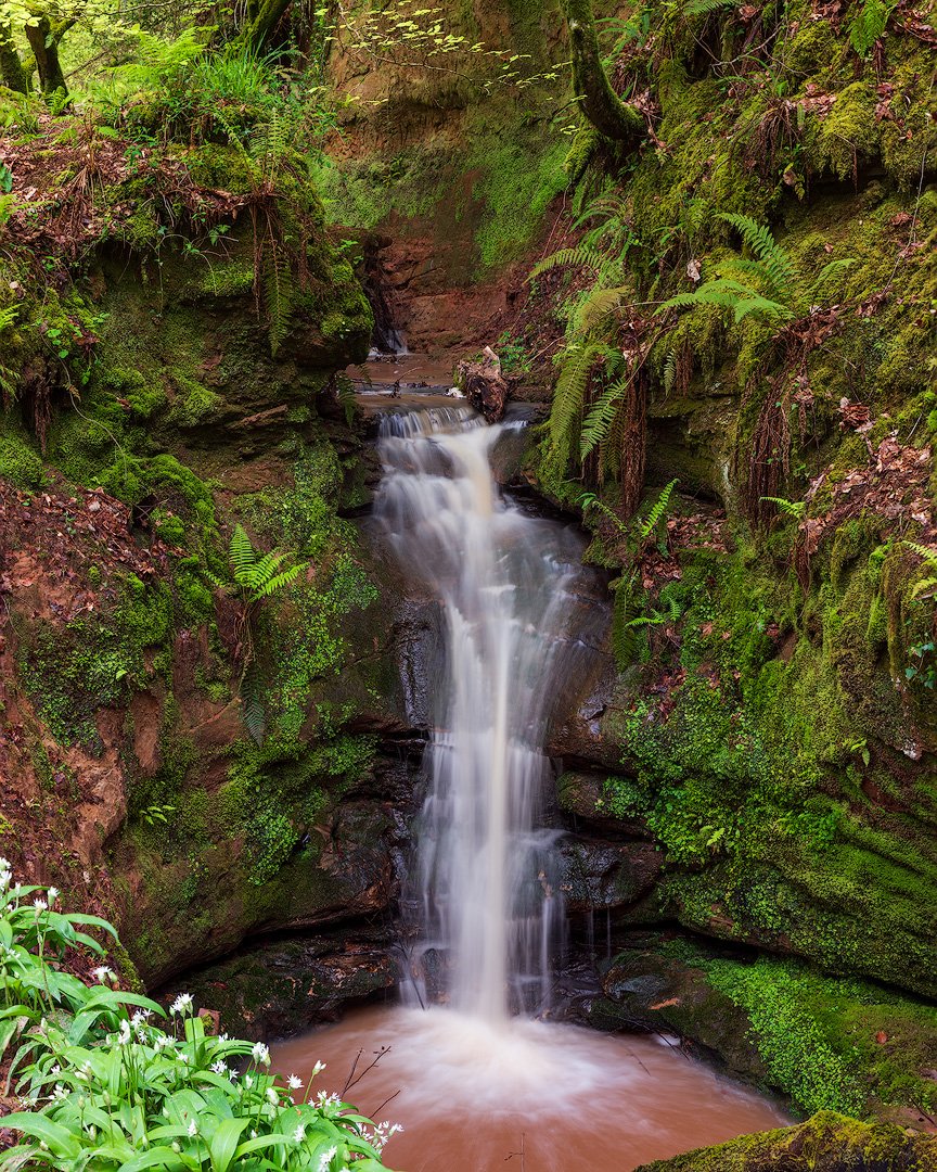 There's plenty of little waterfalls on Dartmoor but until this week I struggled to find any locally in #eastdevon. That is, until a family walk in a nearby wood last week. I had to revisit with the big camera

(Hope the greens aren't too nuclear on this. I struggled with them)