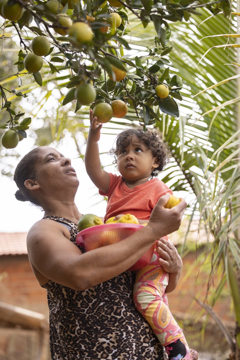 Moms help us reach the highest heights. YOU can help support them when you purchase a Mother’s Day gift from our Real Gifts Catalog! 🍊 childfund.pulse.ly/o9k1lzv5yf These orange trees Neide & little Maria received in #Brazil bring nutrition & extra income for their entire family.