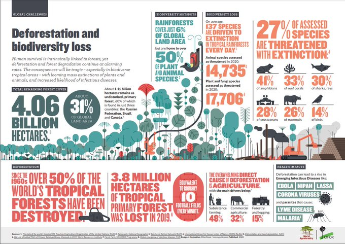 Human survival is intrinsically linked to forests, yet #deforestation & forest degradation continue at alarming rates. The consequences will be tragic – especially in biodiverse tropical areas. Download a free copy↪️ bit.ly/3w4R4mf #Trees4Resilience @CIFOR_ICRAF