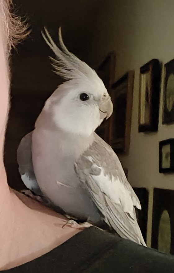 Tiel Lover 🌻🇺🇦 tweet media