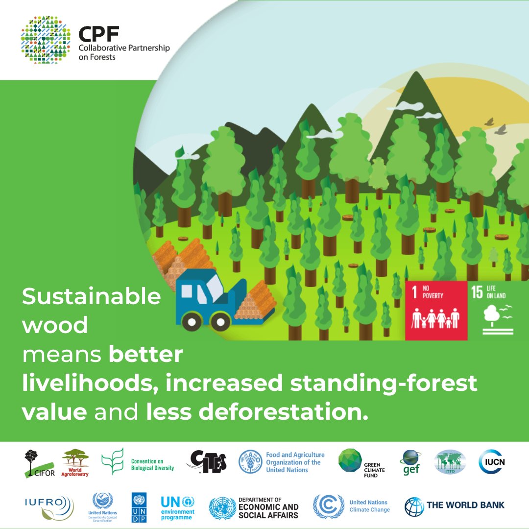 Sustainable wood means better livelihoods, increased standing-forest value and less deforestation

Together we can #GrowTheSolution with sustainable wood!

#CPForests #SDG1 #SDG15