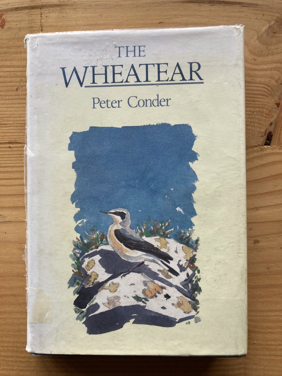 Between 1947 & 1955 Peter Conder was warden @SkokholmIsland. During that time he studied the Wheatear, a task he continued throughout his career. After he retired (from leading the RSPB) he published this monograph. Much of the research in the book was carried out on Skokholm.