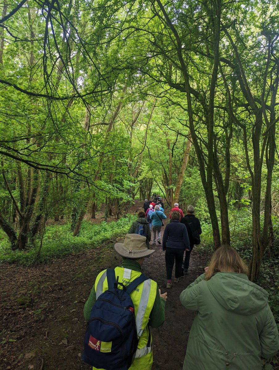 Which walks are you most looking forward to this #BankHolidayWeekend?

We've got everything from books to bluebells to bus boycotts!  Check out our website for all the latest walks taking place from Saturday - Monday: bristolwalkfest.com/events/search/
#BWF24