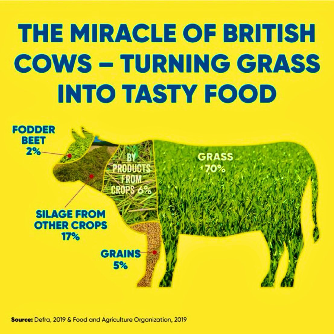 The miracle of British cows 🐄 🇬🇧
