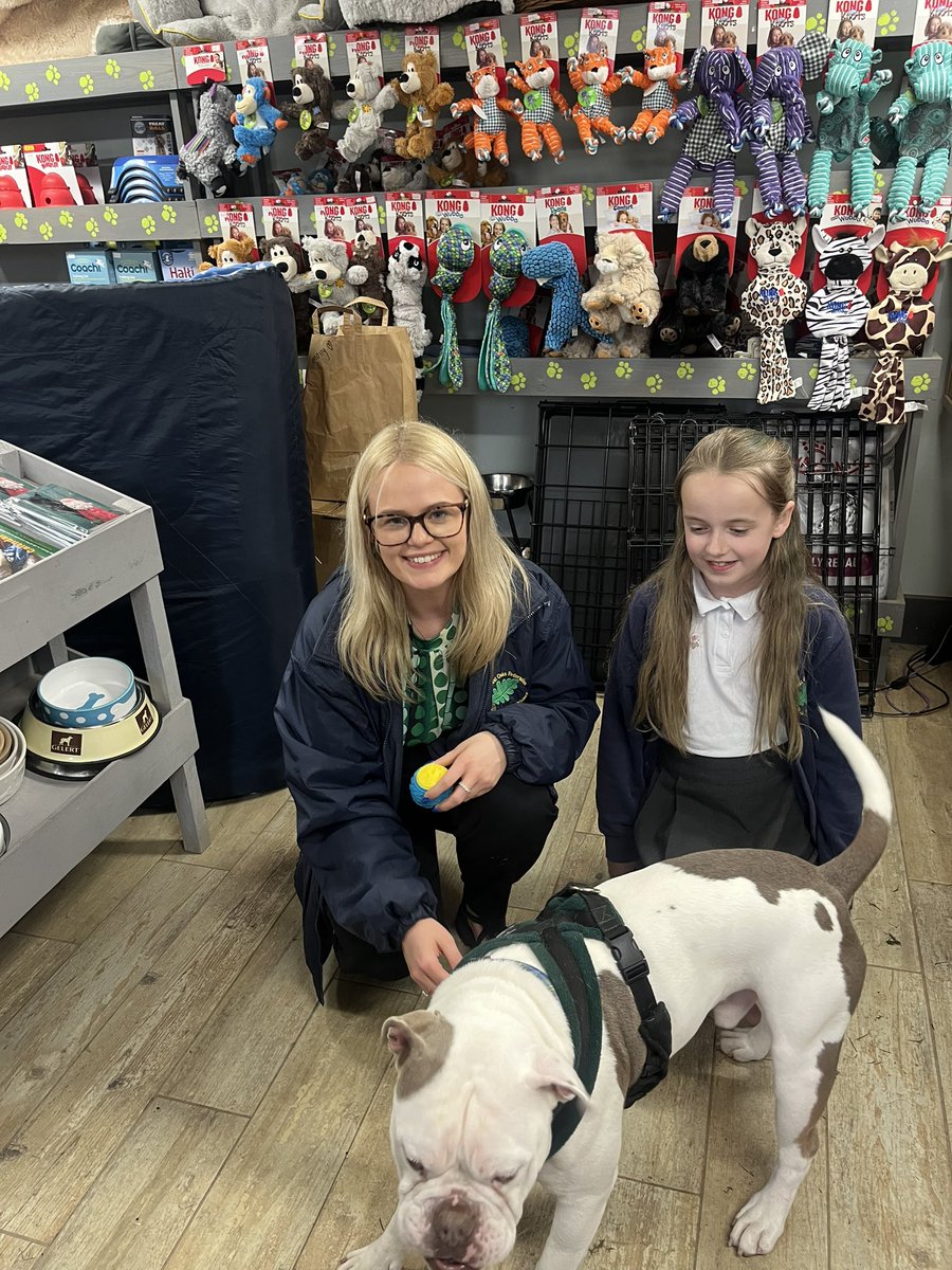 💚It was a pleasure delivering all the kind donations to the amazing <a href="/JerryGreenDogs/">Jerry Green Dog Rescue</a>. Thank you to the families at <a href="/StThomasBoston/">St Thomas’ CE Primary Academy Boston</a>, Freddie was very thankful!! Ps I had the best time having cuddles🐶💚