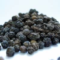 Antimicrobial
Digestion
Bioavailability
Black pepper can potentiate bioavailability-- AKA increase absorbtion during normal digestion–of herbs, foods, and certain pharmaceutical drugs.