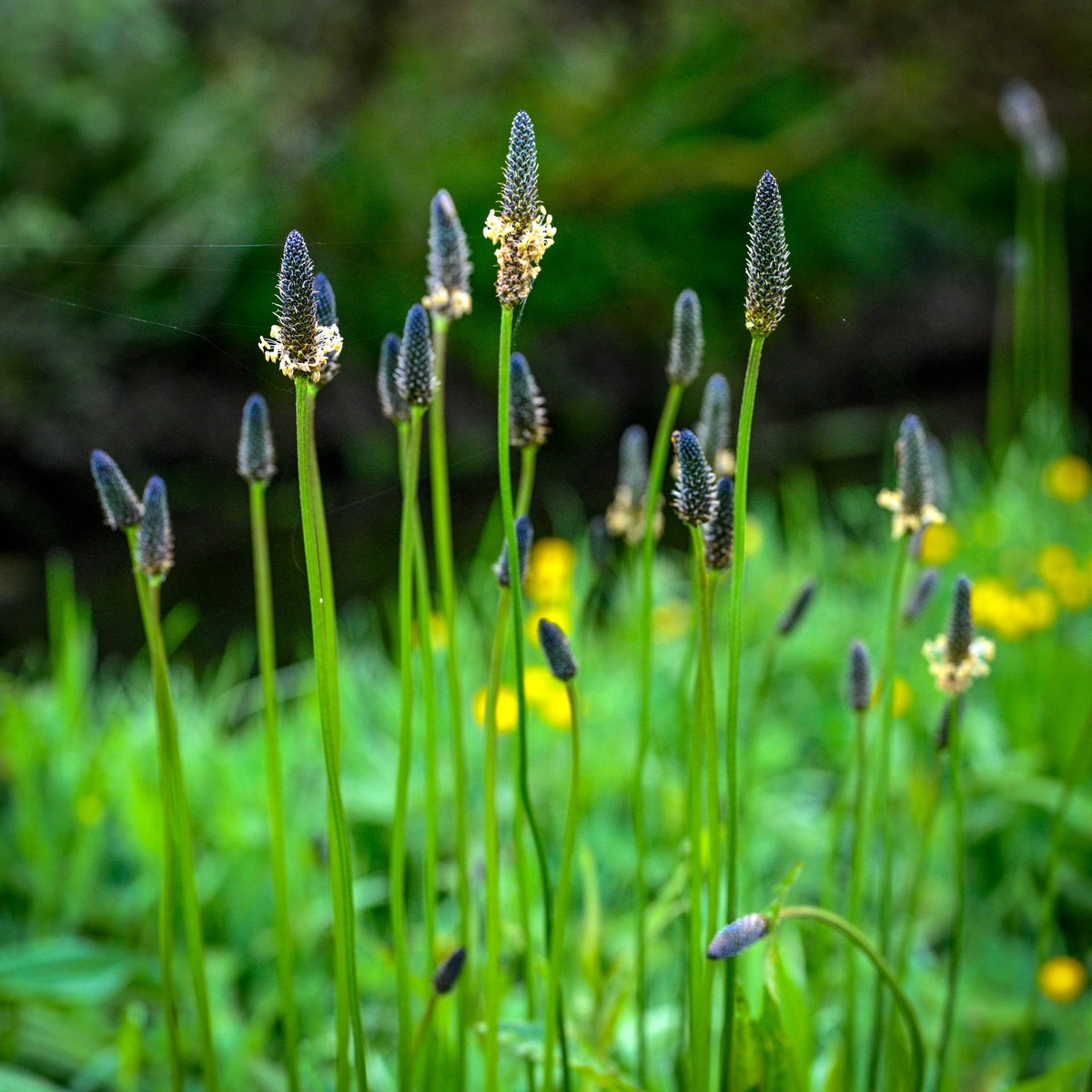 Catherine Hyde (@catherine_hyde) on Twitter photo 
