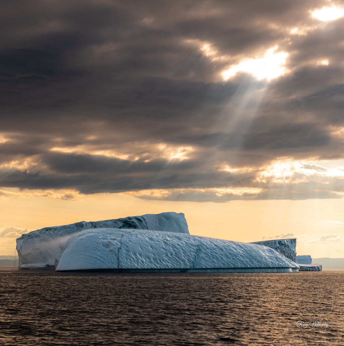 Seal Cove, Newfoundland #Newfoundland #canada #explorenl #explorecanada