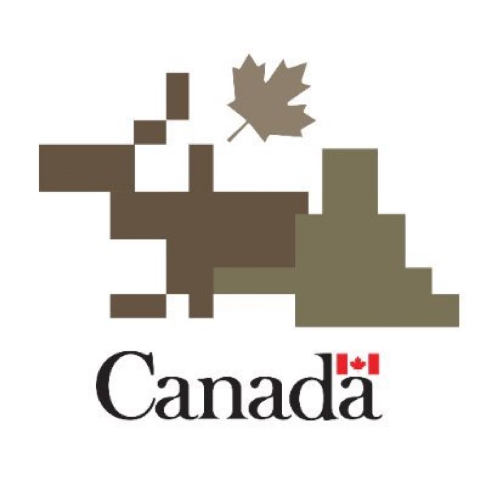 I had to repost this -it’s the new logo for the CDN military -it’s the most absurd thing I have ever seen .
It’s hard to fathom that they paid a design firm for this !
This is a result of a woke ideology !