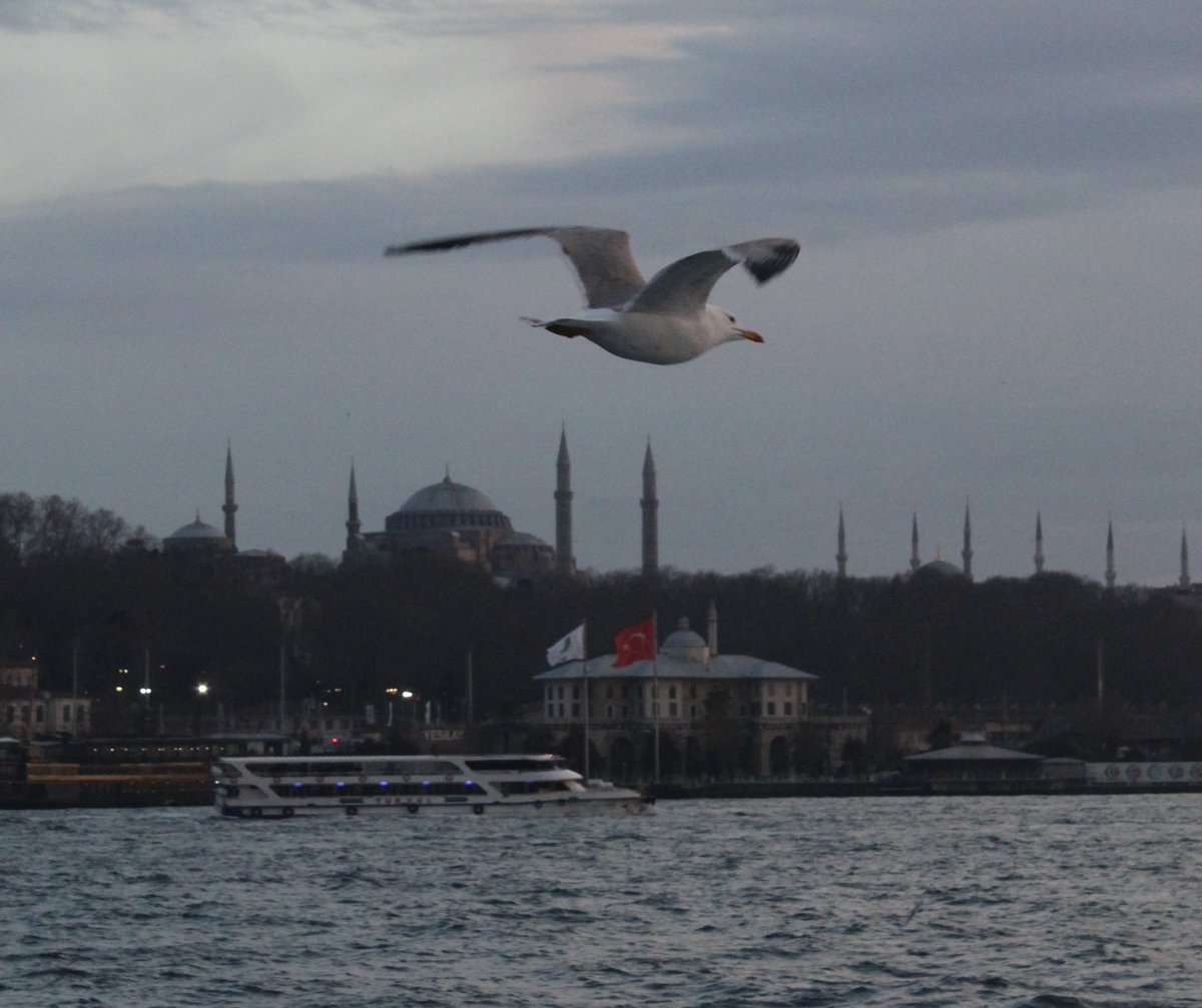 adilustun's tweet photo. Bir gece yarısı uyandığında yatağından kalk, şöyle yıldızlara bir bak. Düşün! Mademki içinde bulunduğun yer, konuştuğun kimse sana feyz vermiyor; terke mani olan ne?

Mustafa Kutlu https://t.co/SqGQkOt70g