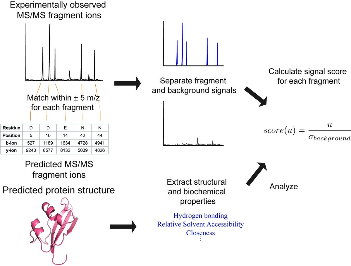 Exploring the fragmentation efficiency of proteins analyzed by MALDI-TOF-TOF tandem mass spectrometry using computational and statistical analyses journals.plos.org/plosone/articl… --- #proteomics #prot-paper