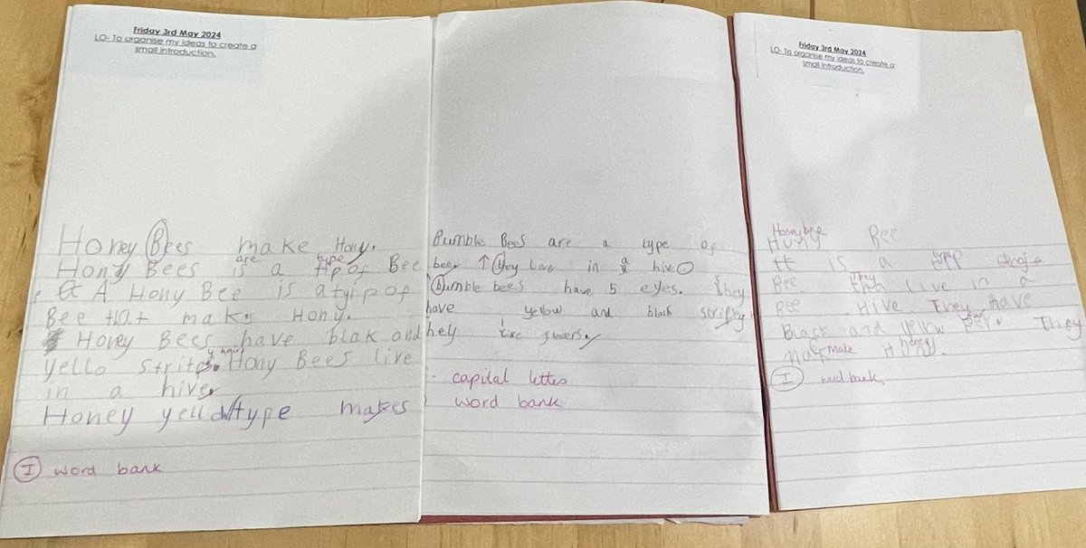 Year 1 have been busy learning lots of facts about bumblebees and honeybees and have begun writing an introduction for a non fiction fact file. #CLPE #WritingForAPurpose #WorkingHard