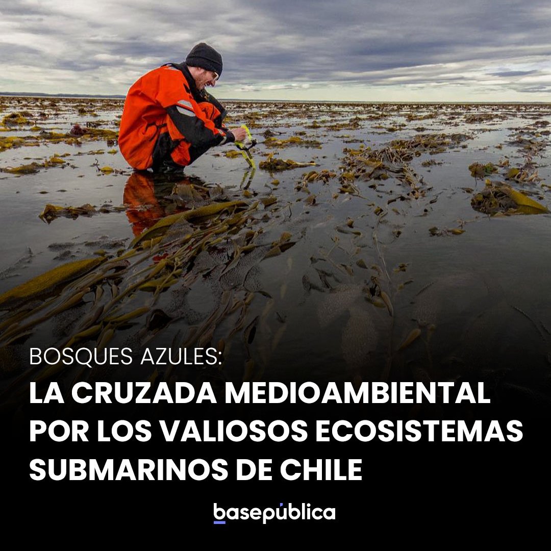 basepública tweet media