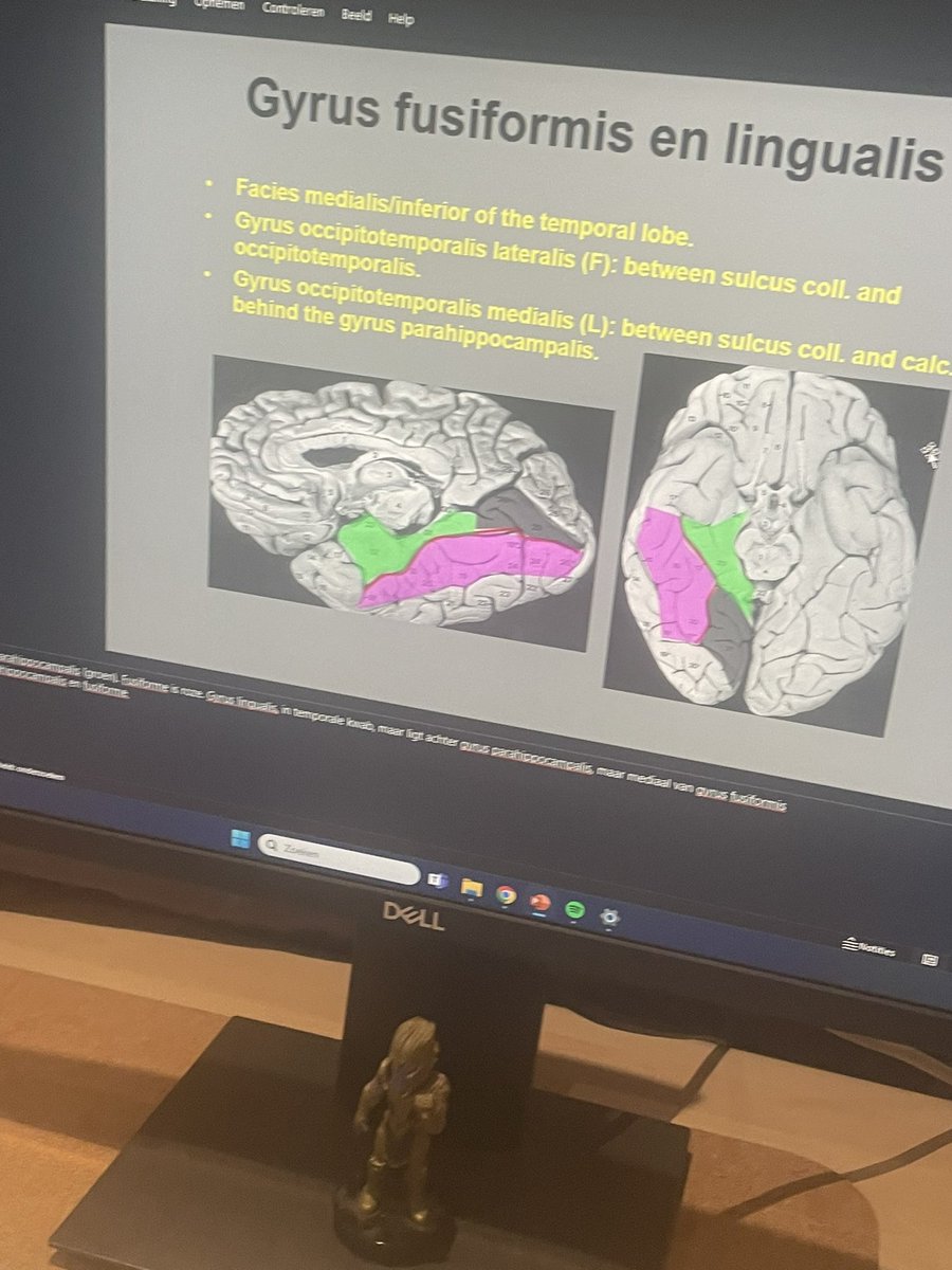 Kan je je een betere vrijdagavond inbeelden: ik studeer pediatrie @Merksterz studeert neuroradiologie we luisteren Rihanna - Work (ft. Drake) Sped-up Tik-tok remix💅