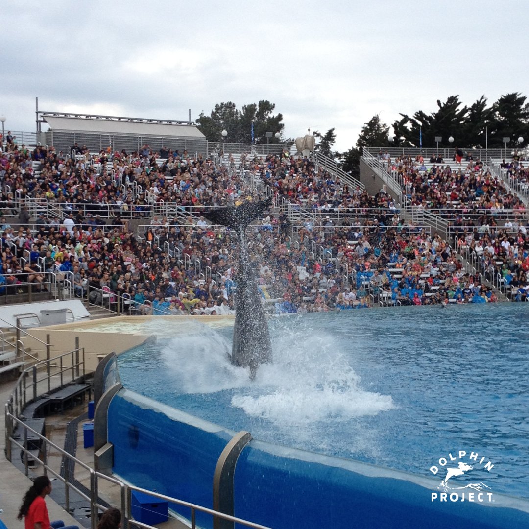 All three US SeaWorld parks will be locations for this year's #EmptyTheTanksWorldwide event May 11-12, 2024. Details and ALL global event locations at: emptythetanks.org/upcomingevents