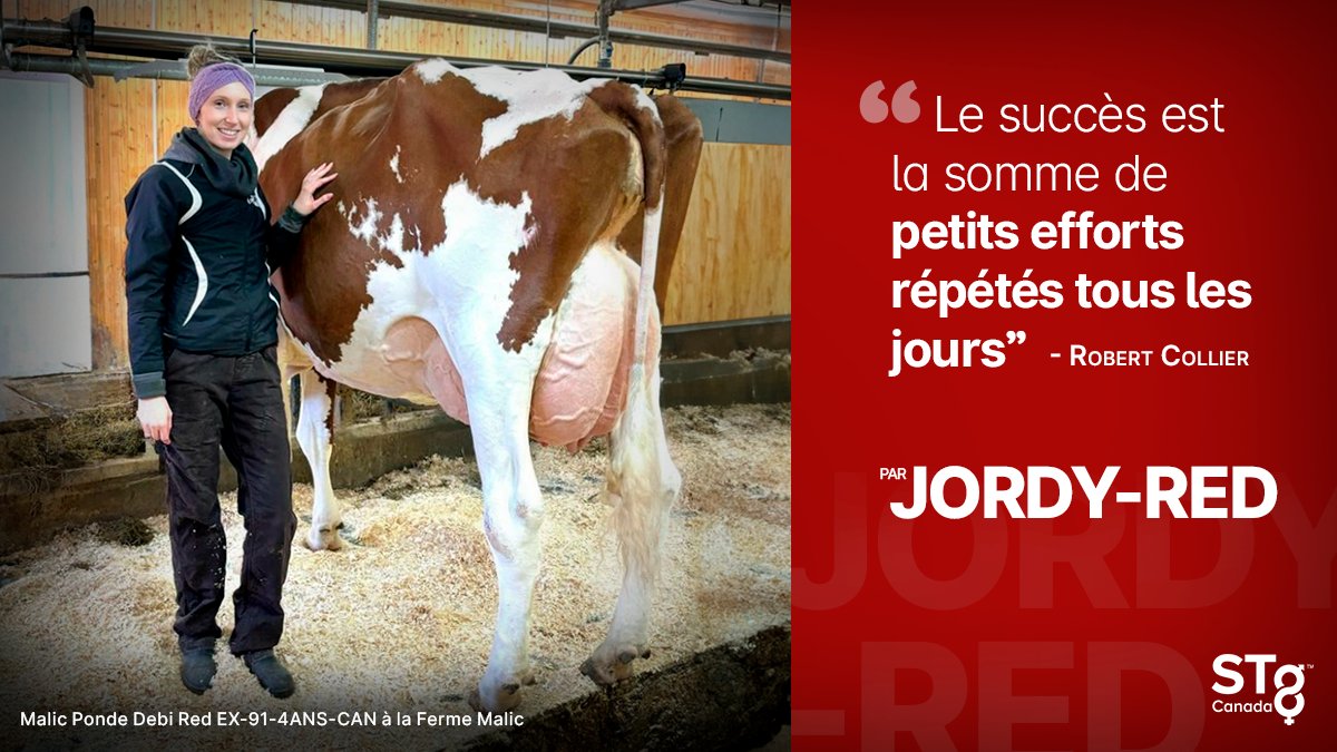 Les filles de JORDY-RED sont comme les bons vins, elles vieillissent en beauté. #JORDYRED est +10 Conf +18 P&M +18 Locomotion +13 Texture du Pis. Un taureau #STyle™ et disponible en #Ultraplus™. Plus : bit.ly/3oZx40u
#STgeneticsCanada #STgenetics