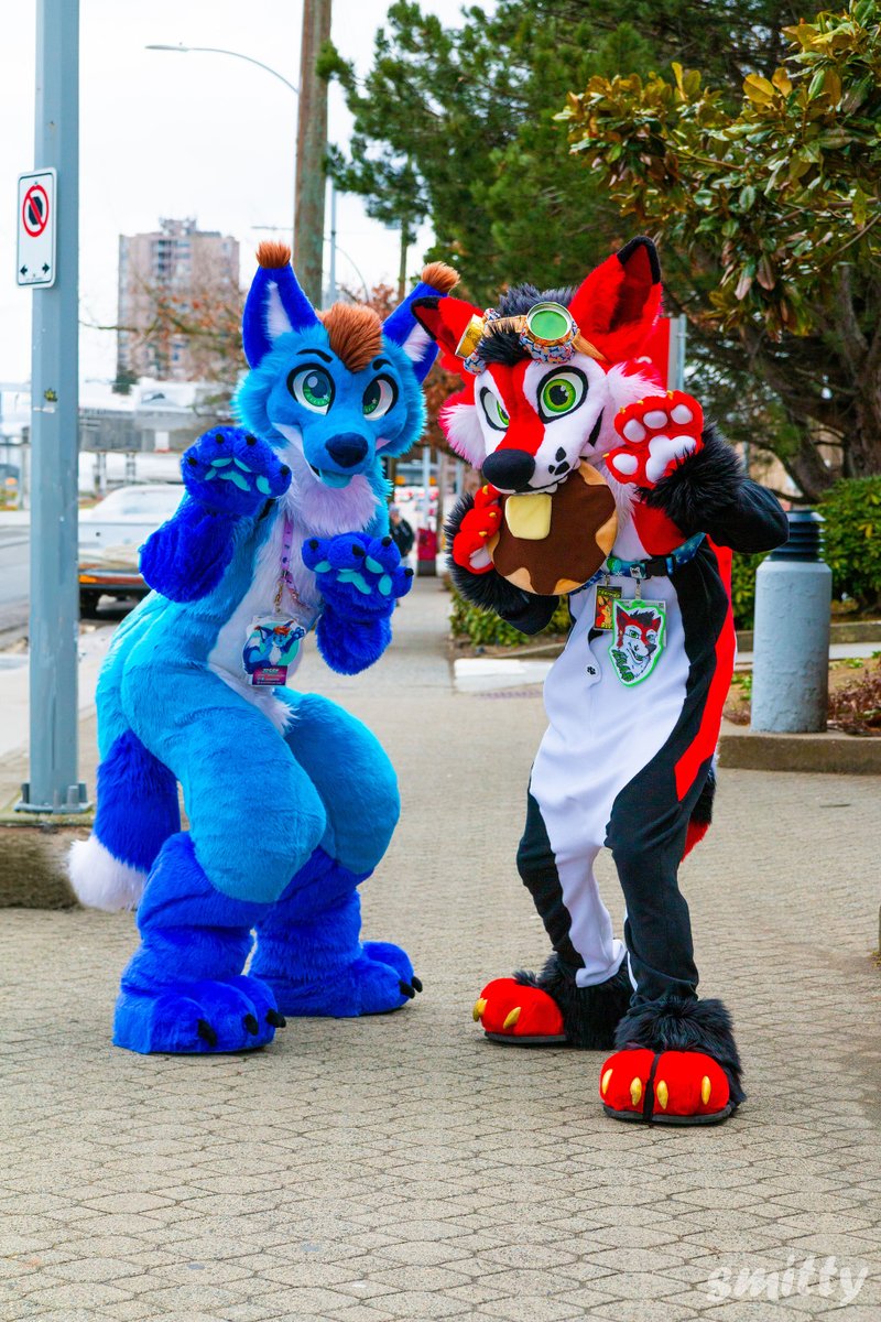 HALT! This is a hug roadblock! Submit to our hugs to continue!

#FursuitFriday 

🦊<a href="/WOLFKY_GNAR/">🥞GNAR THE PANCAKE YOTE🥞</a> 
📷<a href="/SmittyFurry/">Smitty</a>