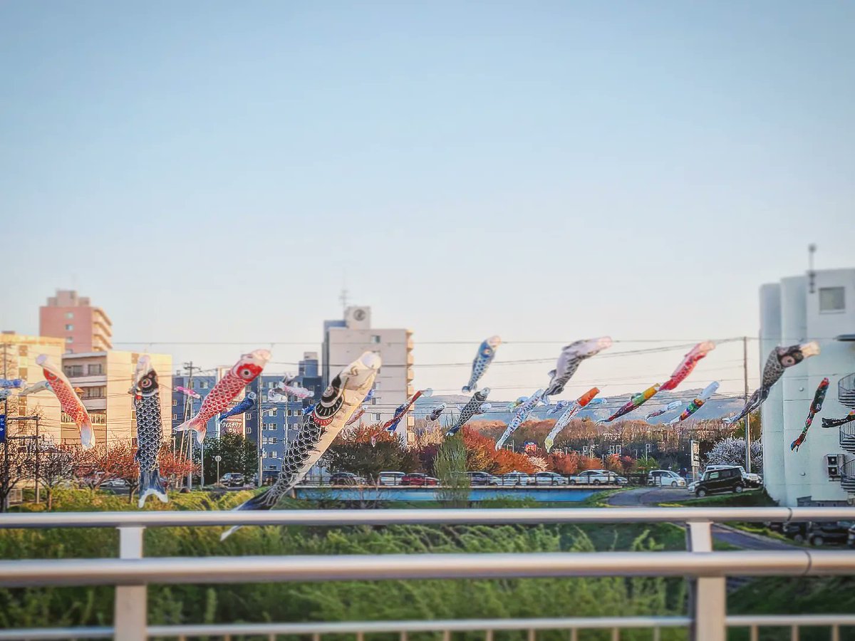 おはようございます
連休後半、風が少し強いので近所の名物の鯉のぼりがなびいてます！

#いまそら #イマソラ 
#連休
#ゴールデンウィーク
 #企業公式さんと繋がりたい
 #企業公式つぶやき部
 #企業公式相互フォロー
 #企業公式春のフォロー祭り