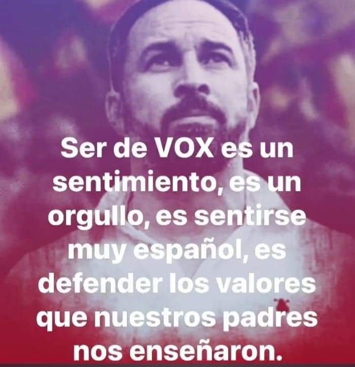 #SoloquedaVOX