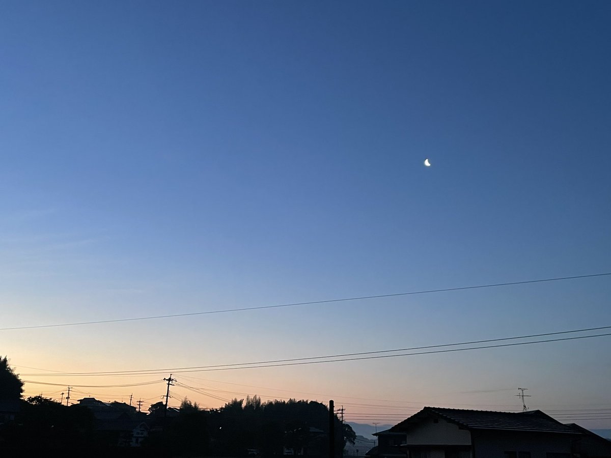 ただいまー👋
おはようございます(*^^*)

今日もよろしくお願いします🙇‍♀️
GW後半楽しんでください😊

連休中休みなし💧
悲しい😭

今朝の一枚